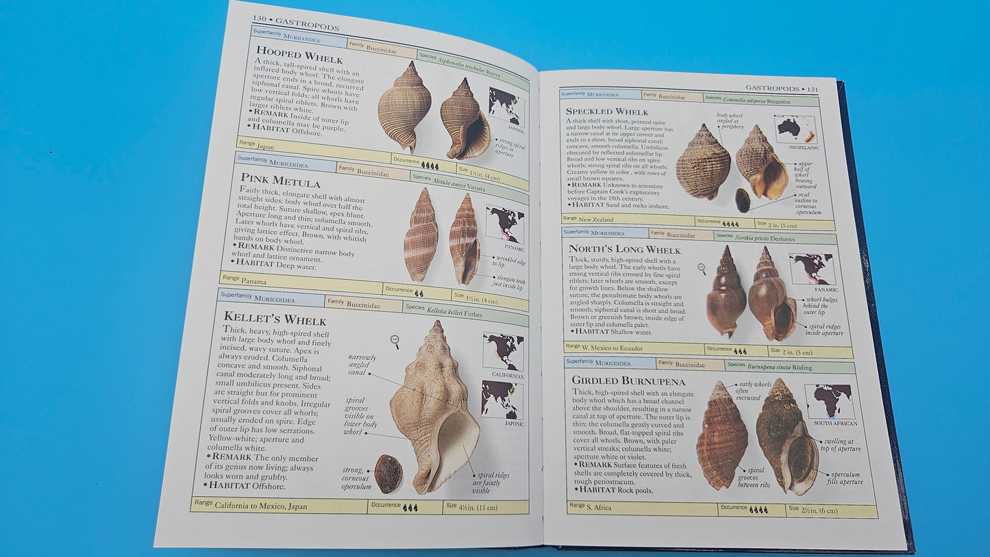 Smithsonian Handbooks: Shells – S. Peter Dance (2002, Softcover, DK Publishing)