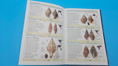 Smithsonian Handbooks: Shells – S. Peter Dance (2002, Softcover, DK Publishing)