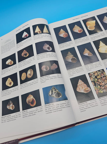 Compendium of Seashells – First Edition (1982, Hardcover) by R. Tucker Abbott & S. Peter Dance