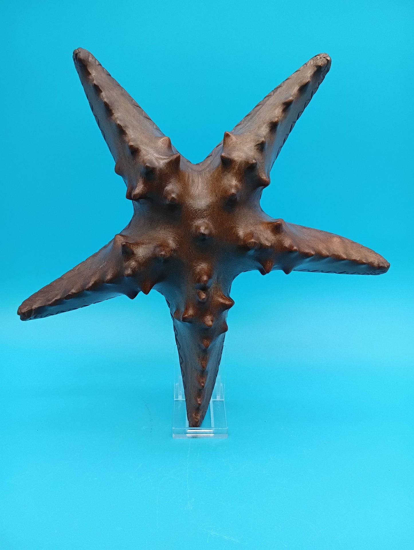 Hand Carved Wooden Starfish – Coastal Decor Accent 9–10"