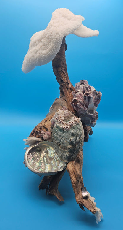 Coral, Abalone & Barnacle Sculpture on Grapevine Wood – 20" x 6.5" x 15.5"