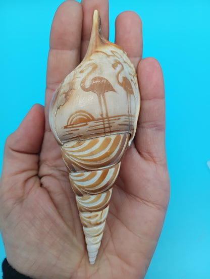 Carved Tibia Shell with Flamingo Scene – 4.8"