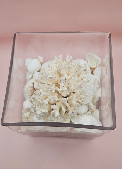 Square Glass Vase with White Coral and Seashell Display – Coastal Centerpiece (6x6)