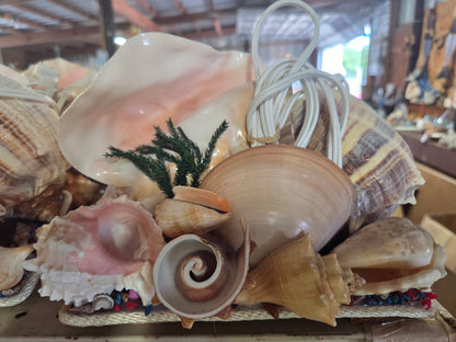 Pink Queen Conch Shell Vintage Novelty Light