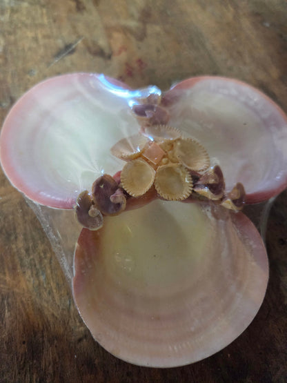 Vintage Tigerina Clam Shell Dish Trio