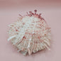 4.5" Pink-Coral Spondylus Shell – Spiny Thorny Oyster-  Textured Ocean Display Shell for Coastal Decor