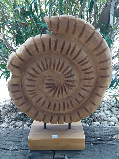 Wooden Ammonite Fossil Sculpture – Coastal Carved Spiral Décor on Stand