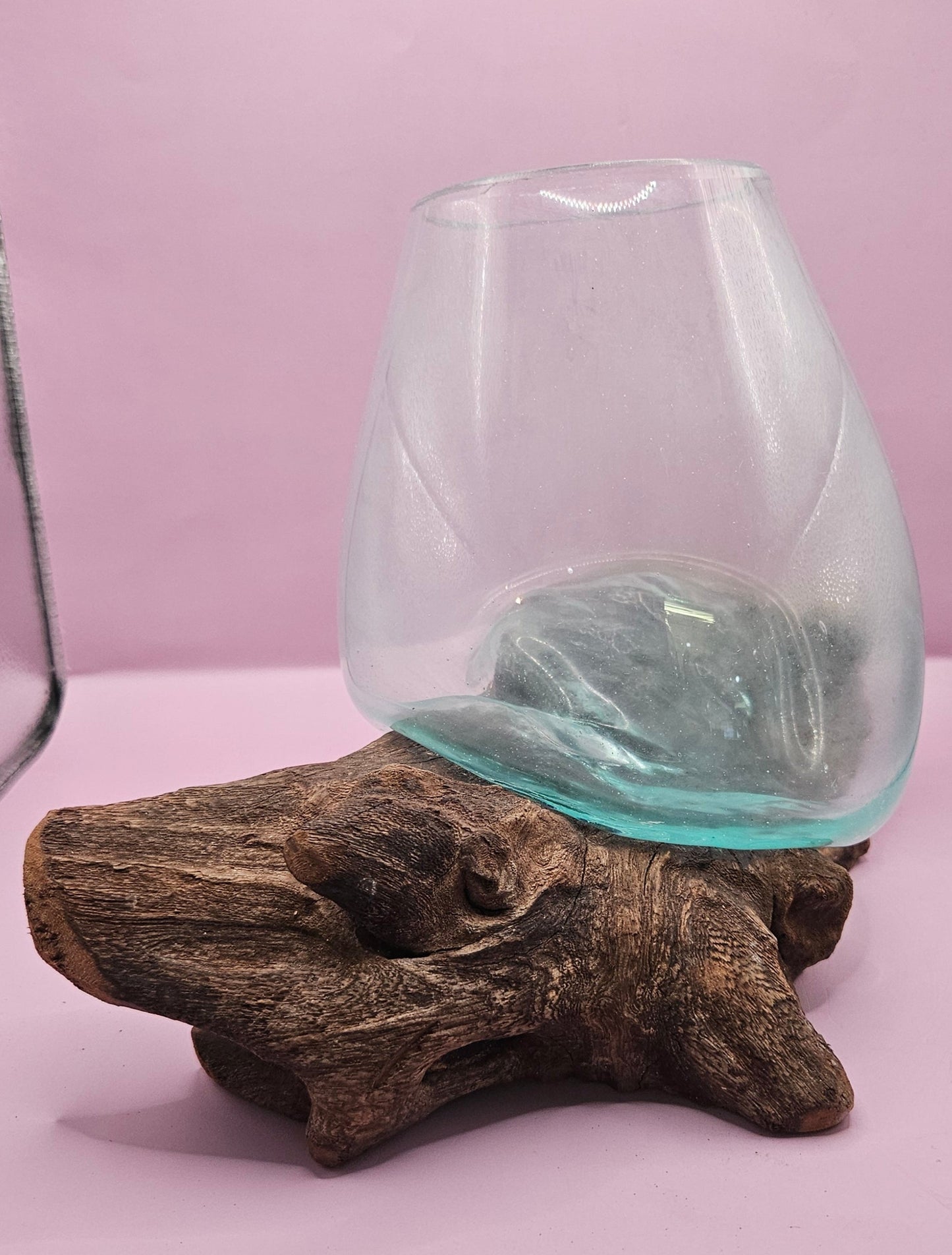 Small/Medium Teak Root Driftwood and Molten Glass Terrarium- Single Globe