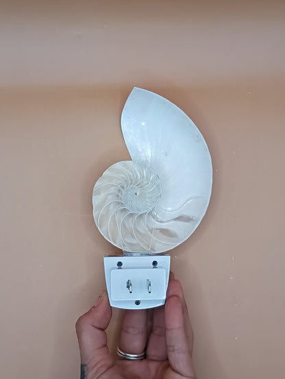 Nautilus Shell LED Night Light