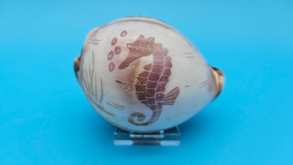 Carved Cowrie Shell Display 3.5" – Dolphin, Seahorse, or Shrimp Design Options