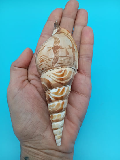 Carved Tibia Shell with Seagull Scene – 4.8"