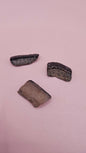 Fossil Ray Dental Plates Set | Ancient Marine Fossil Teeth with Display Box