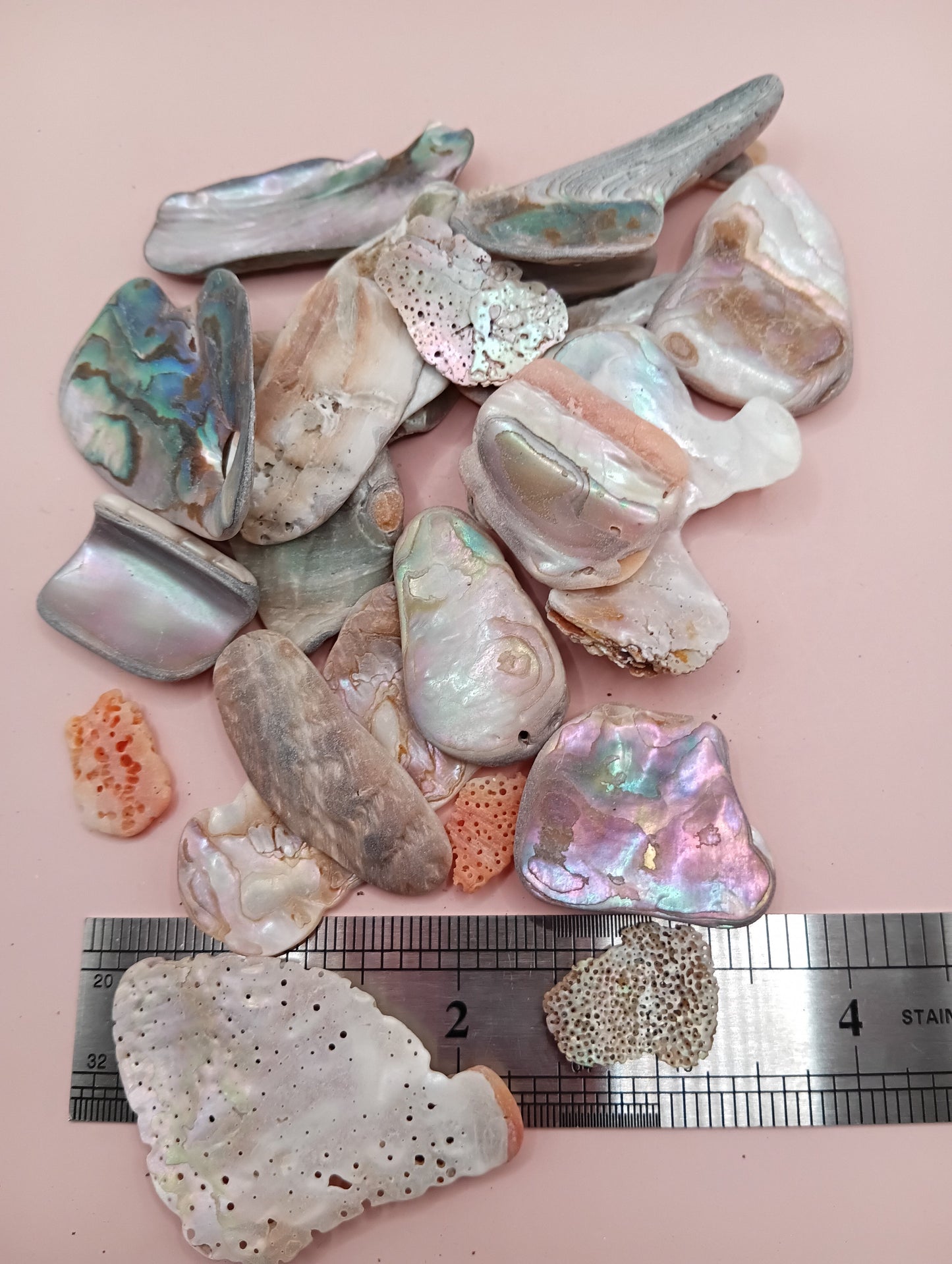 Tumbled Abalone Shell Pieces – Polished Natural Shell Chips for Crafts, Decor & Jewelry (Large)