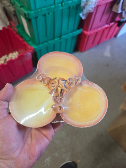 Vintage Tigerina Clam Shell Dish Trio