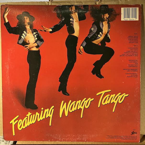 Scream Dream (VINYL) | Near Mint- (NM-) Excellent (EX)