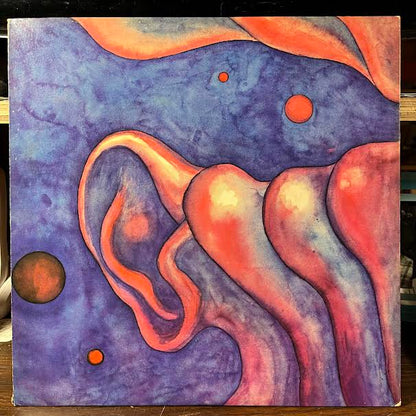 In The Court Of The Crimson King (An Observation By King Crimson) (VINYL) | Near Mint (NM or M-) Near Mint (NM or M-)