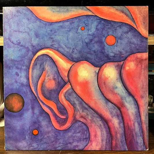 In The Court Of The Crimson King (An Observation By King Crimson) (VINYL) | Near Mint (NM or M-) Near Mint (NM or M-)