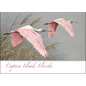 Roseate Spoonbill 5″ x 7″ Greeting Card – Coastal Wildlife Art