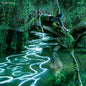 Songdreaming (CD)