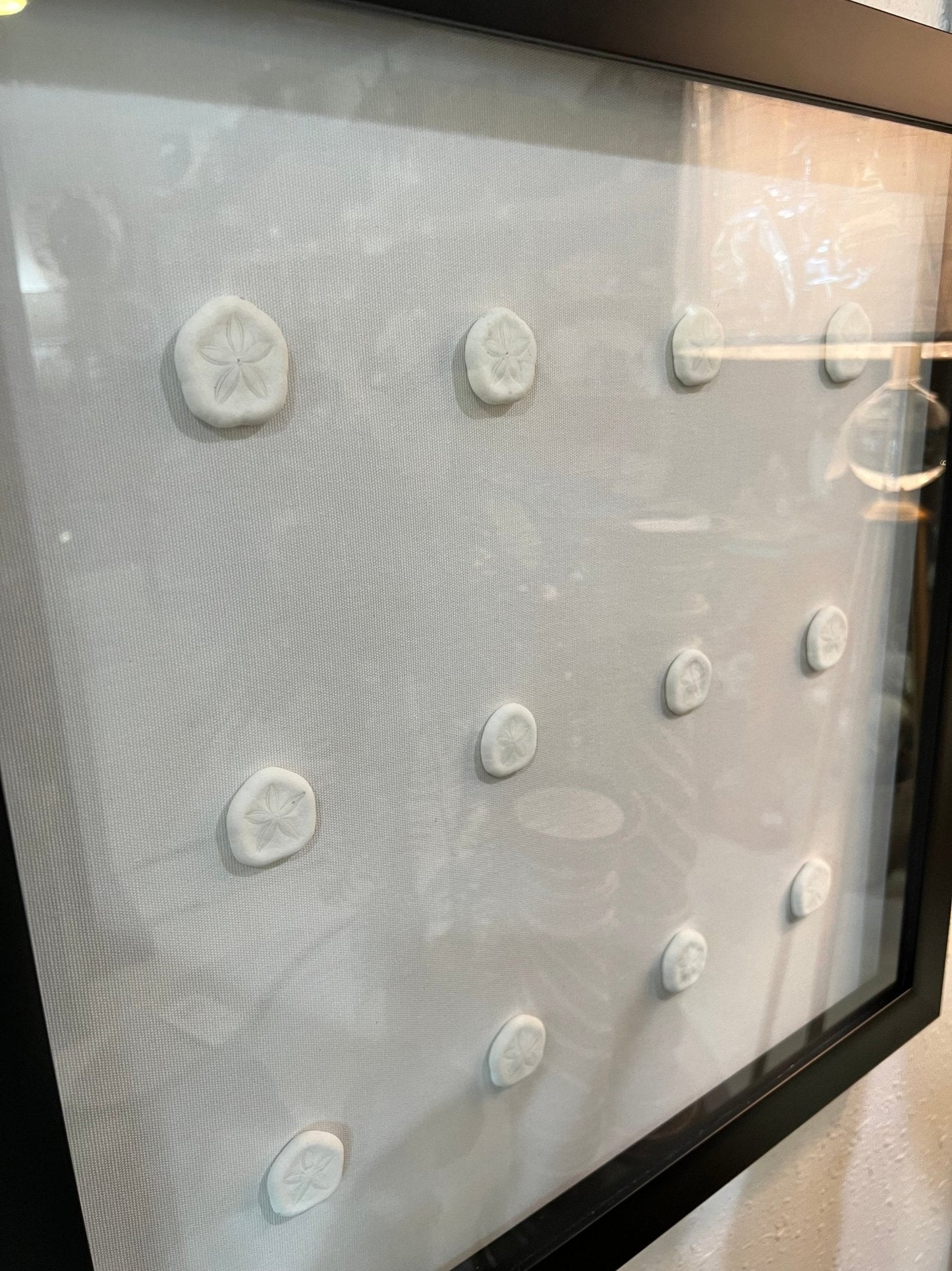 Sea Cookie Shadowbox- Made to order