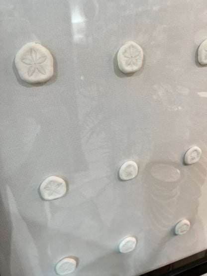 Sea Cookie Shadowbox- Made to order