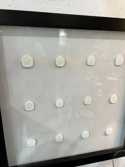 Sea Cookie Shadowbox- Made to order