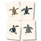 Sea Turtle Hatchling Assortment - Boxed Note Cards