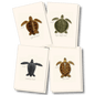 Sea Turtle Juveniles Note Card Set – Eco-Friendly Illustrated Cards
