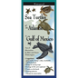 Sea Turtles of the Atlantic & Gulf of Mexico – A Comprehensive Guide