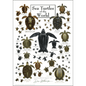 Sea Turtles of the World Poster – 19" x 27"