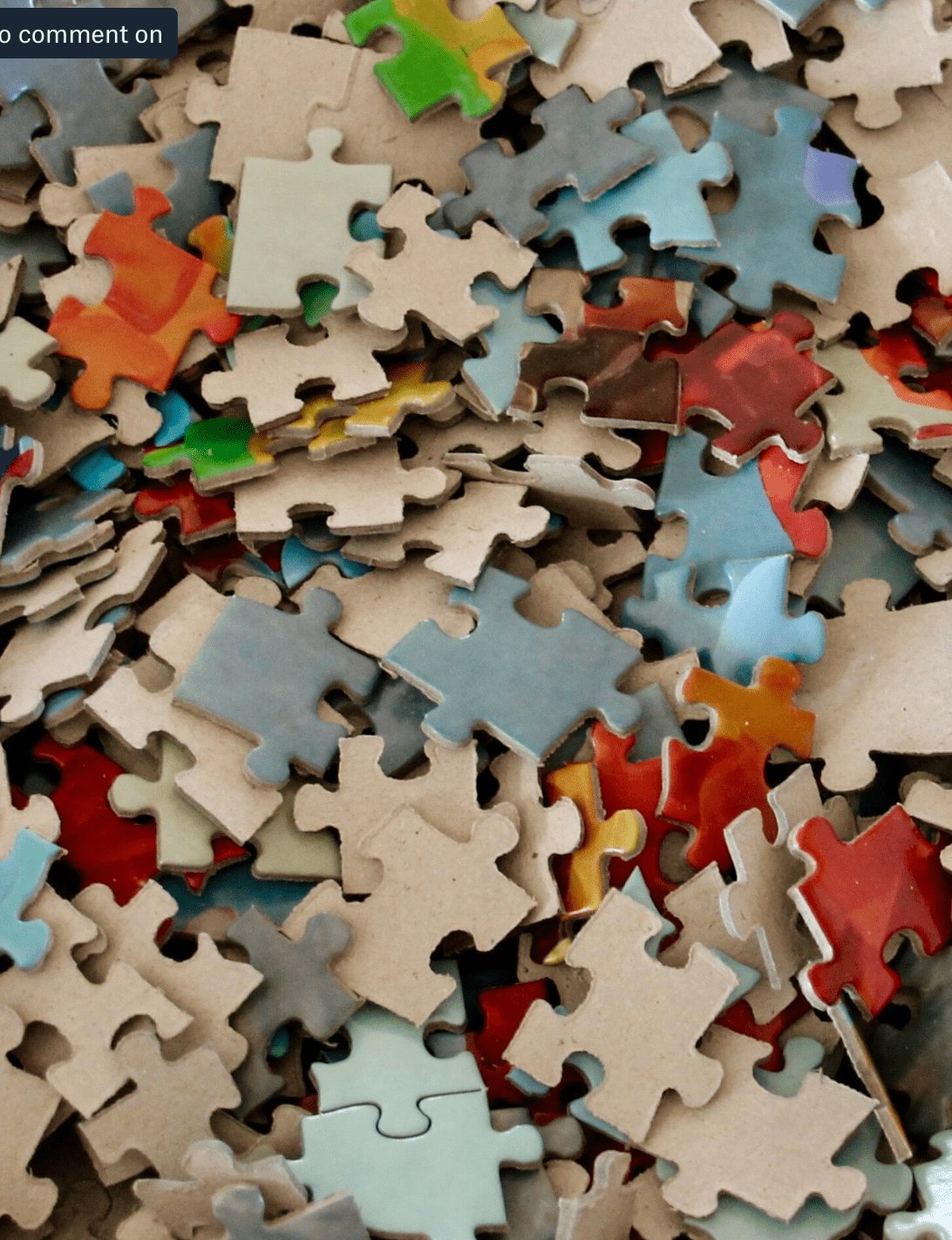 Seaside Stars: Starfish & Sand Dollars 550-Piece Jigsaw Puzzle