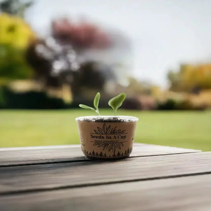Seeds In A Cup® | Jalapeño Plant Grow from Seed Gardening Kit