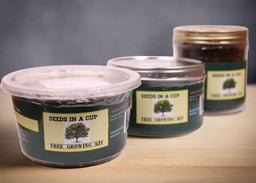Judas Tree | Seed Starter Grow Kit | Seeds In A Cup®