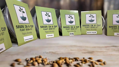 Red Raspberry | Shrub Seed Starter Grow Kit | Seeds In A Cup®
