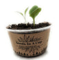 Dessert Grape | Vine Seed Starter Grow Kit | Seeds In A Cup®