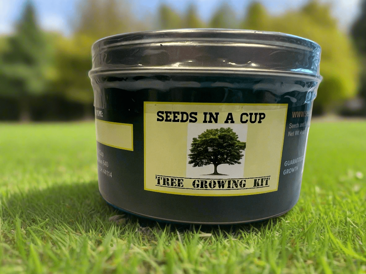 Seeds In A Cup® Original Tree Grow Kit