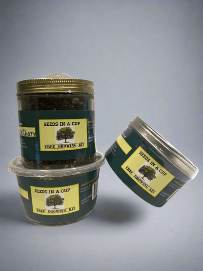 Olive Tree | Seed Starter Grow Kit | Seeds In A Cup®