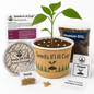 Seeds In A Cup® Original Tree Grow Kit- Multiple Varieties