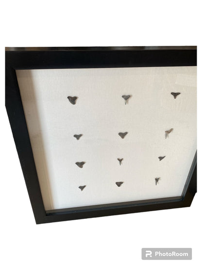 Shark teeth shadow box- Made to order