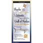 Sharks, Skates & Rays of the Atlantic & Gulf of Mexico Folding Guide