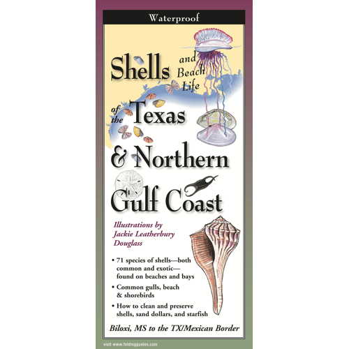 Shells of Texas & Northern Gulf Coast – Waterproof Identification Guide