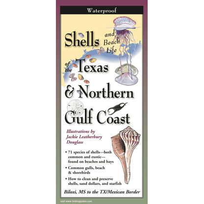 Shells of Texas & Northern Gulf Coast – Waterproof Identification Guide