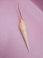 Shinbone Tibia Fusus Shell-9.75"