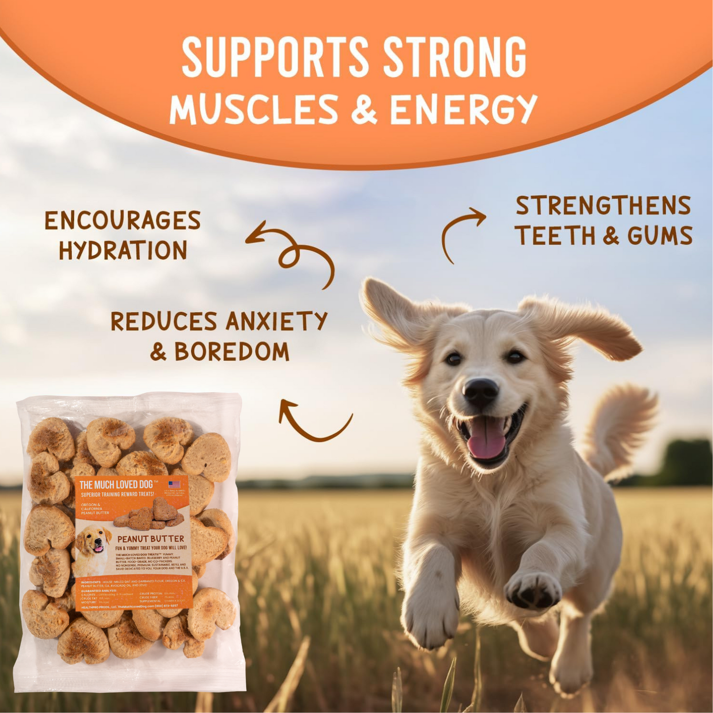 Much Loved Dog Blueberry Training Reward Treats - ECO Set (Filled Fresh Keeper +1 Refill)