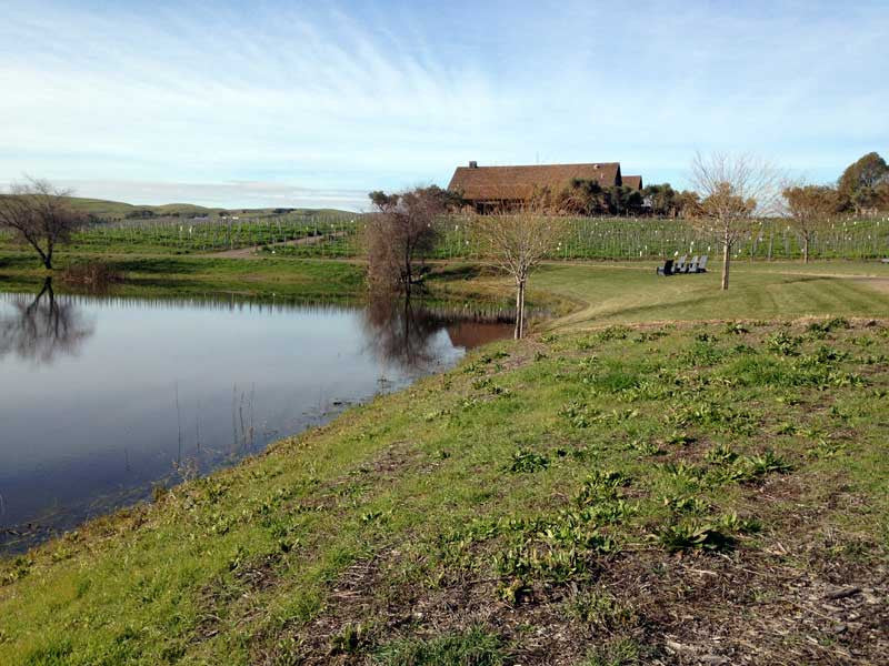 Sonoma Valley & Carneros