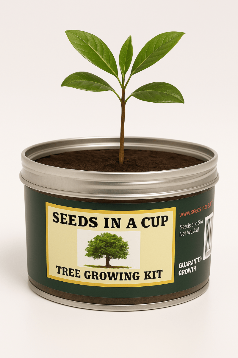 Southern Magnolia Tree | Seed Starter Grow Kit | Seeds In A Cup®