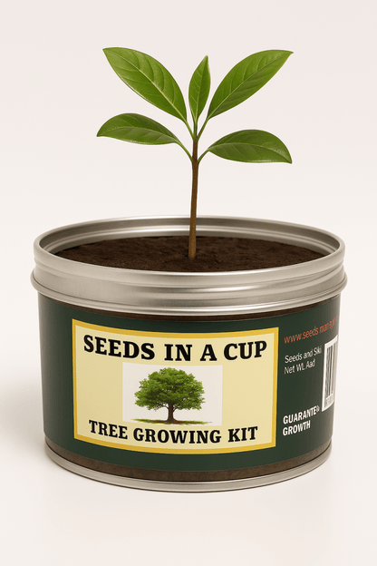 Southern Magnolia Tree | Seed Starter Grow Kit | Seeds In A Cup®