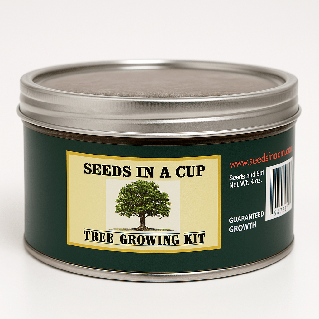 Southern Magnolia Tree | Seed Starter Grow Kit | Seeds In A Cup®