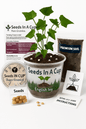Seeds In A Cup® Original Tree Grow Kit- Multiple Varieties