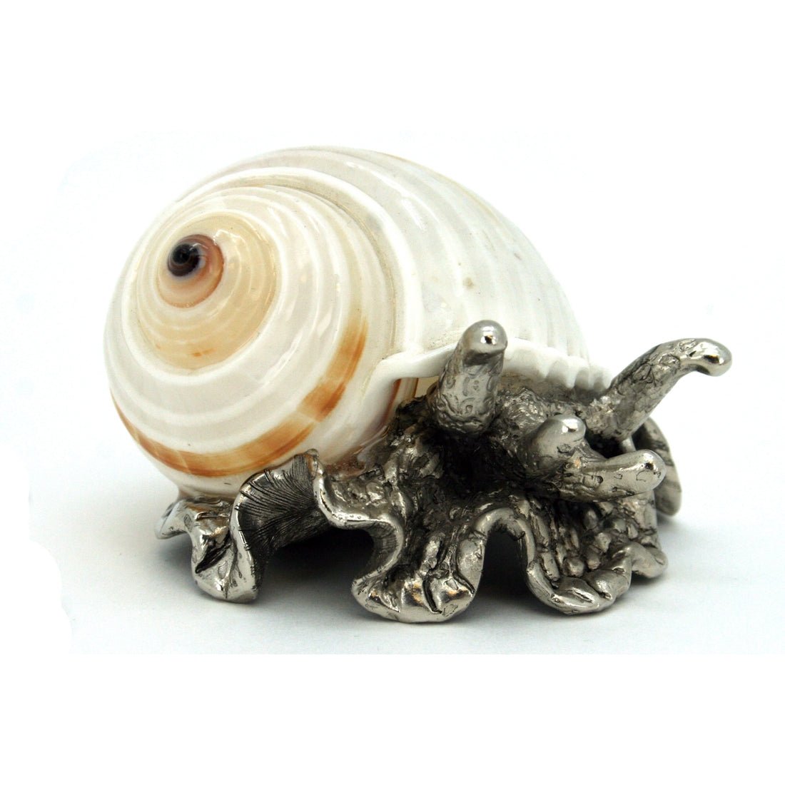 Stripped Tonna with Pewter Sea Snail